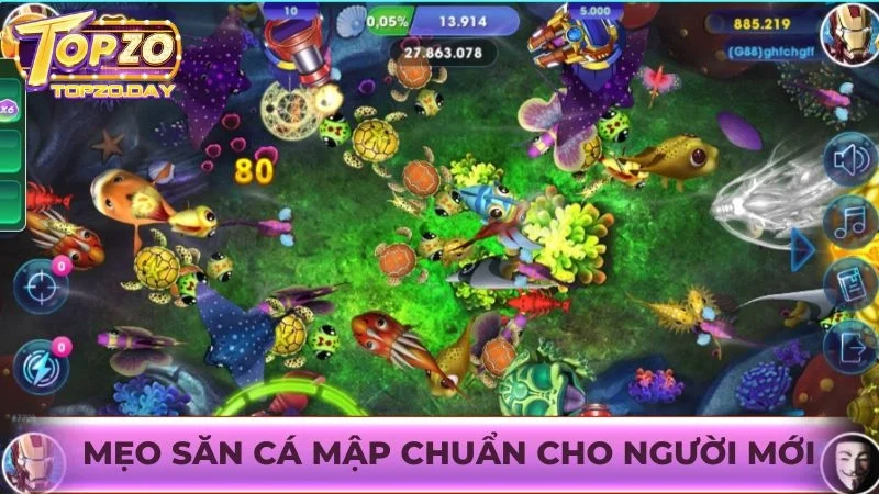 Mẹo Săn cá mập chuẩn cho người mới