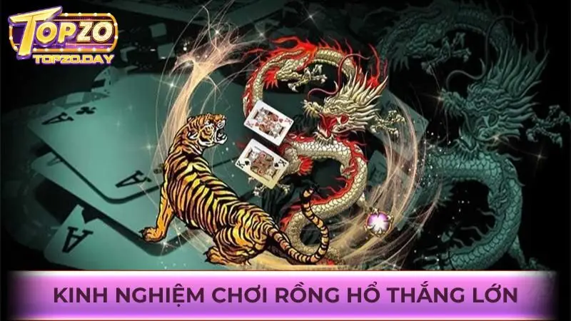Tích lũy các cách chơi cá cược Rồng Hổ online thắng lớn